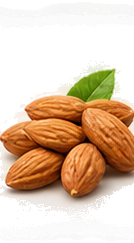 Mamra Almonds