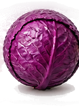Red Cabbage