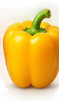 Yellow Bell Pepper